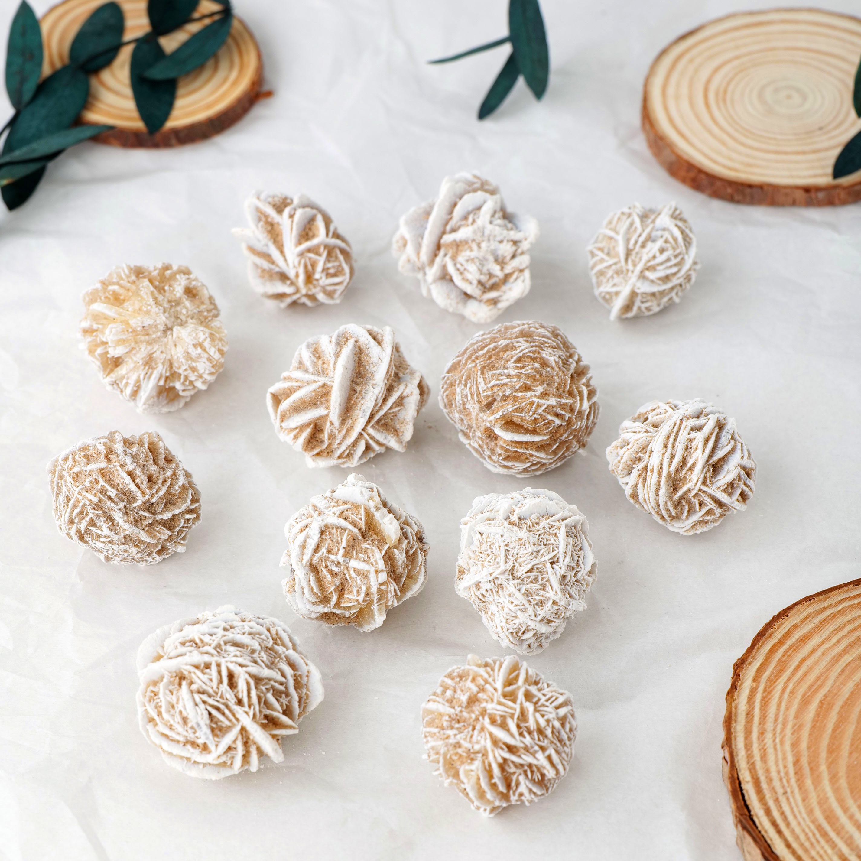 Desert Rose