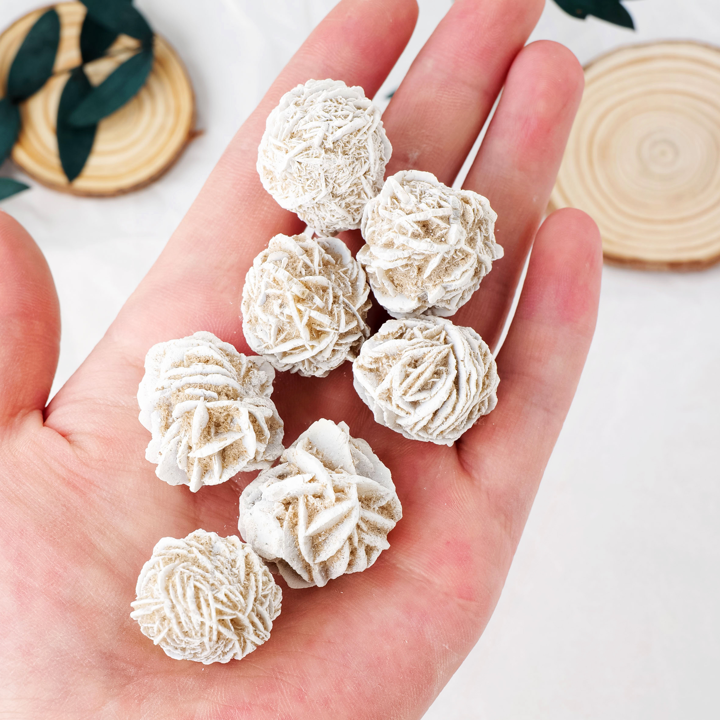 Desert Rose