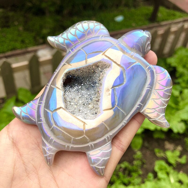 Shimmering Sea Turtle