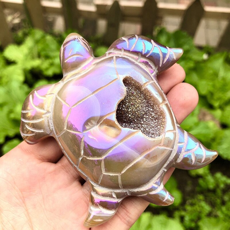 Shimmering Sea Turtle