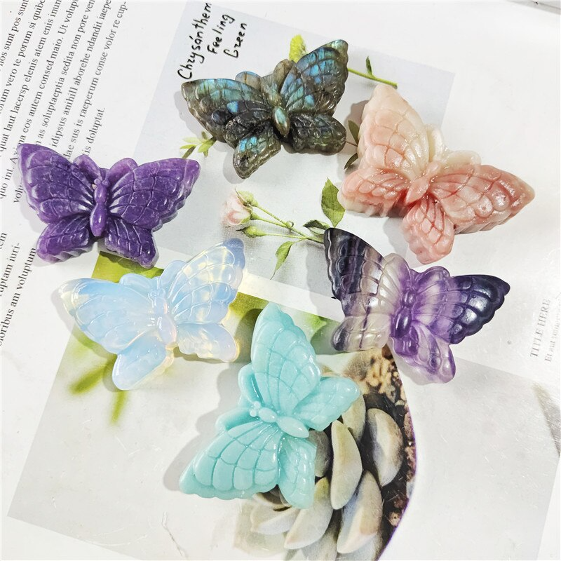Beautiful Butterfly