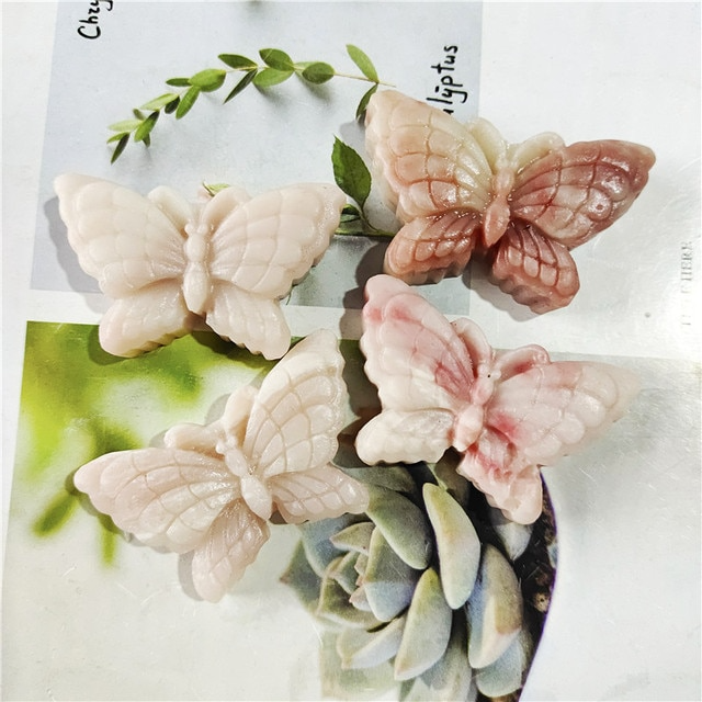 Beautiful Butterfly
